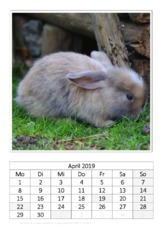April_Kaninchen_2.pdf